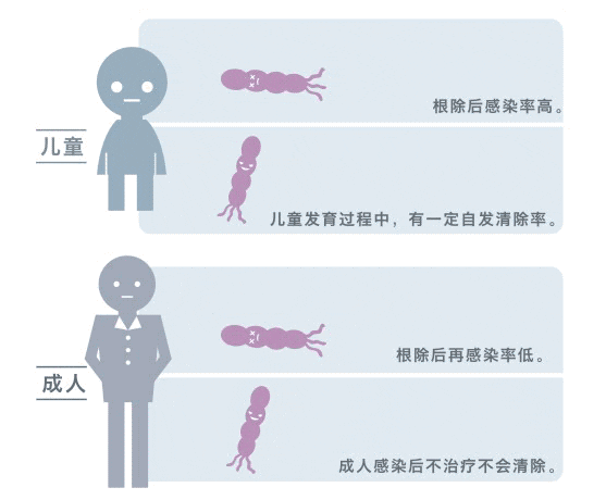 557x460_fab16ed0d645920e.jpg