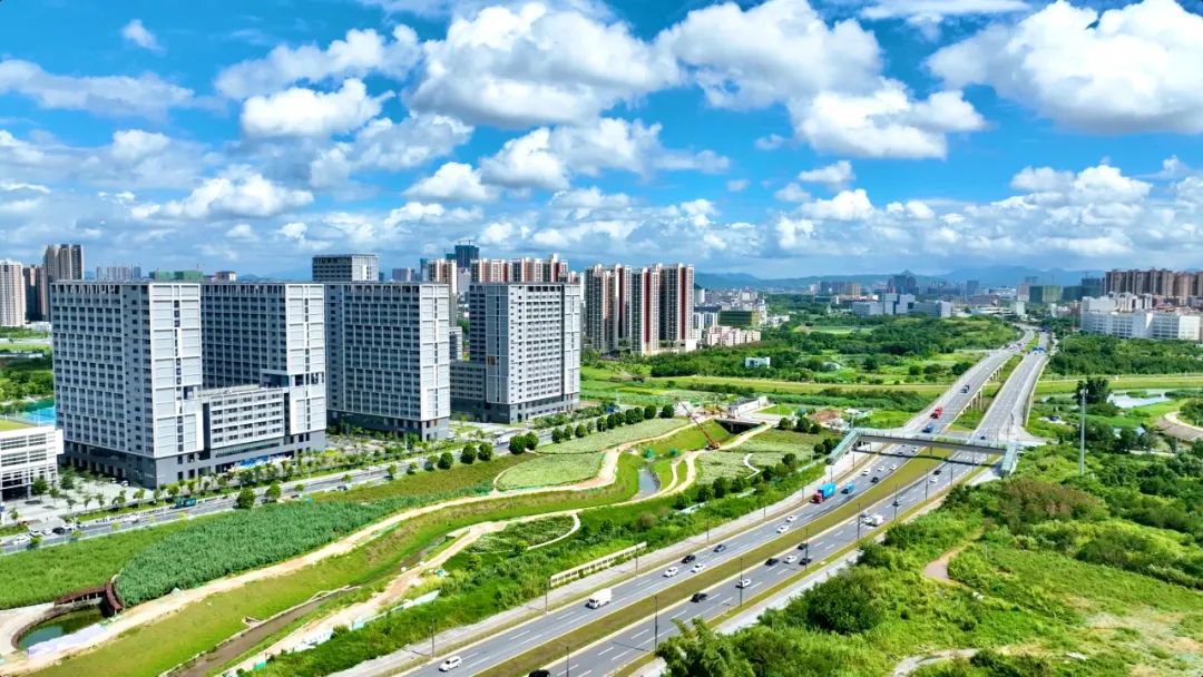 1080x608_cd881e4828dd2c79.jpg
