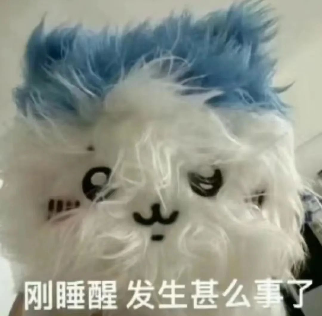 1080x1060_54f637ad3c59dc04.jpg