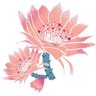 329x329_74d0850a03afdbd6.jpg