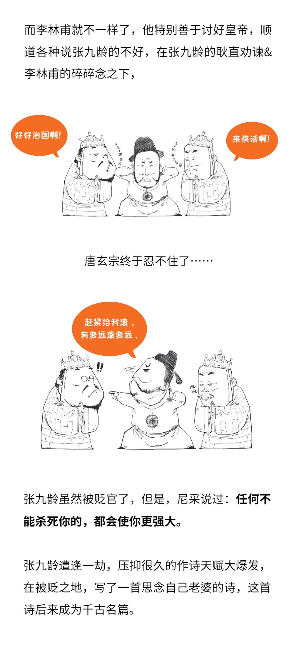 1000x2271_abd29570fc490ca4.jpg