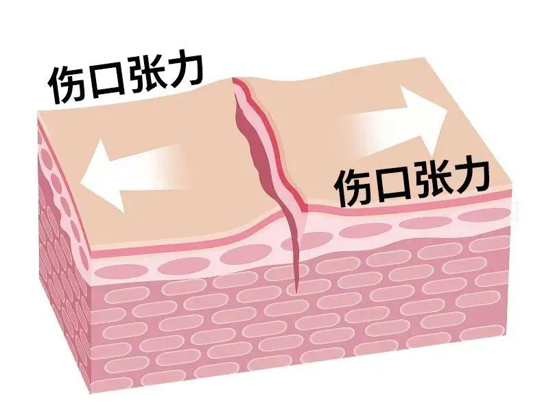 790x602_703d0b70d3d94468.jpg