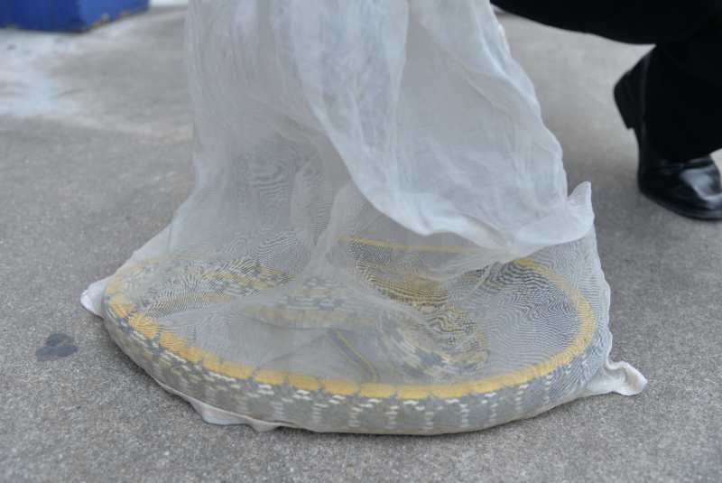 佛山一小区惊现2米长的黄金锦蛇,市民外出活动要注意这点!