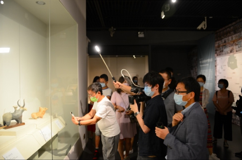 深圳博物馆实现"云观展",国际博物馆日带你"云中漫步"