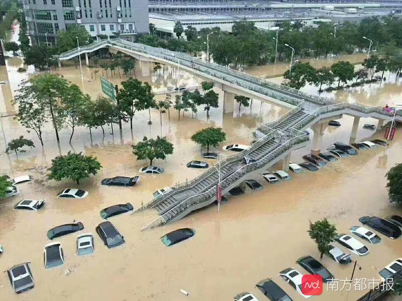 东莞连发三个暴雨红色预警,多处水浸,学校自动停课
