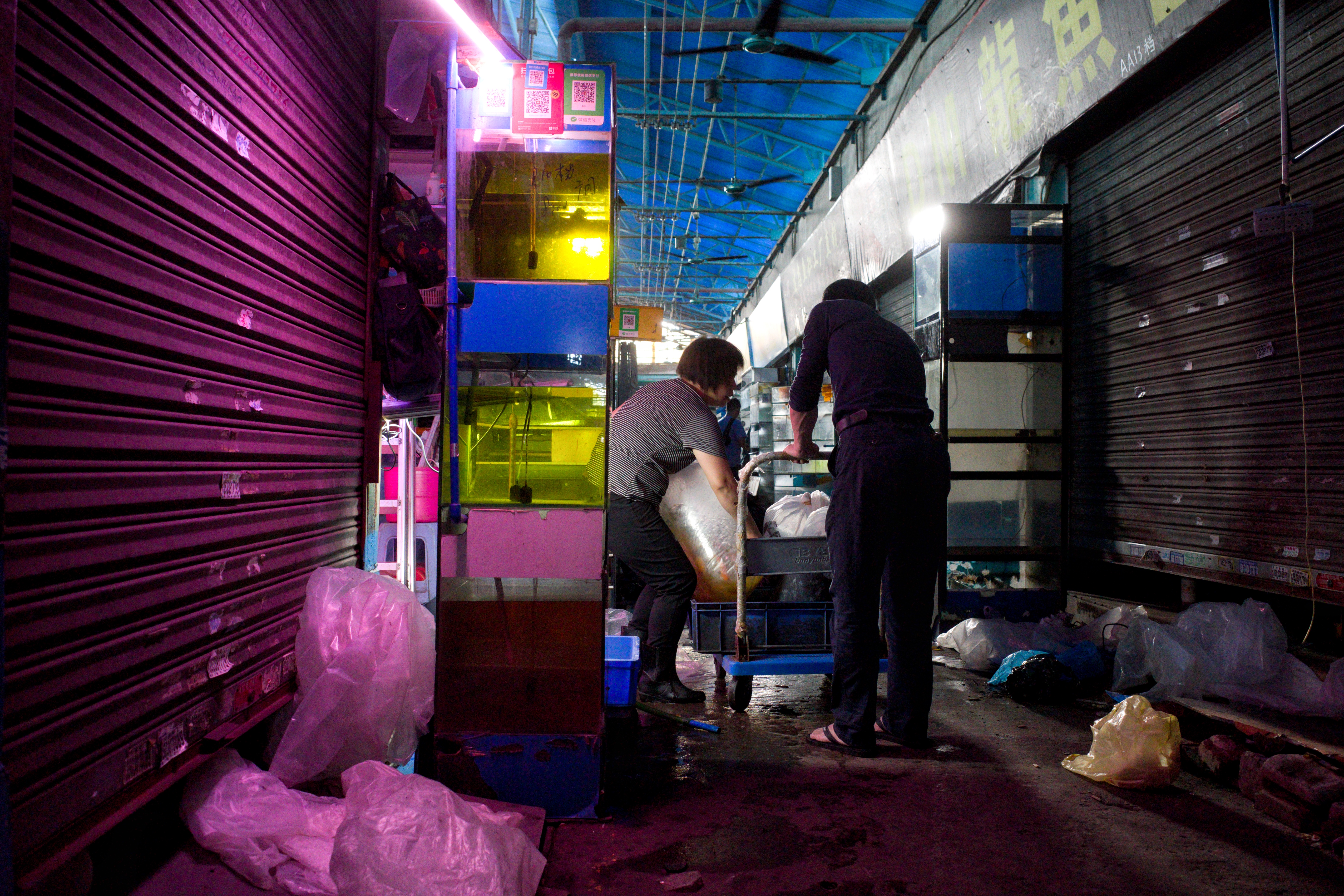 "哄哄闹闹"近20年,广州芳村花鸟鱼虫市场熄灯落幕了!