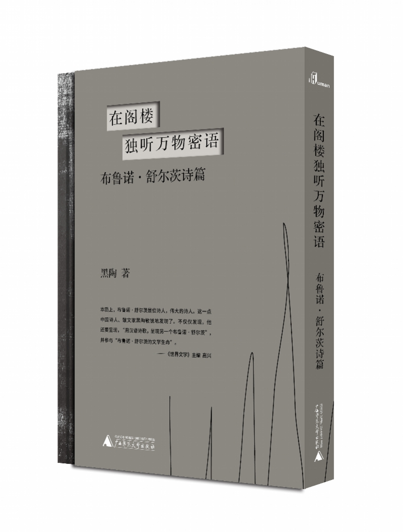 王开岭用一个充满趣味性的比喻描述了与各位嘉宾同台而坐的感受,他