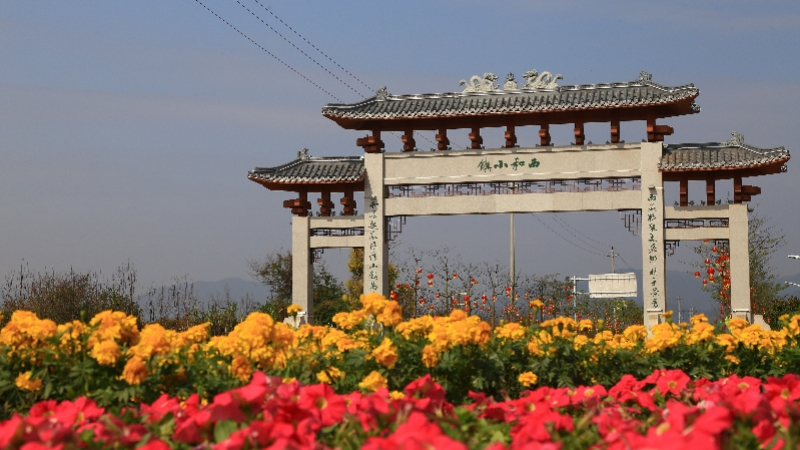 西和万花风情小镇.jpg