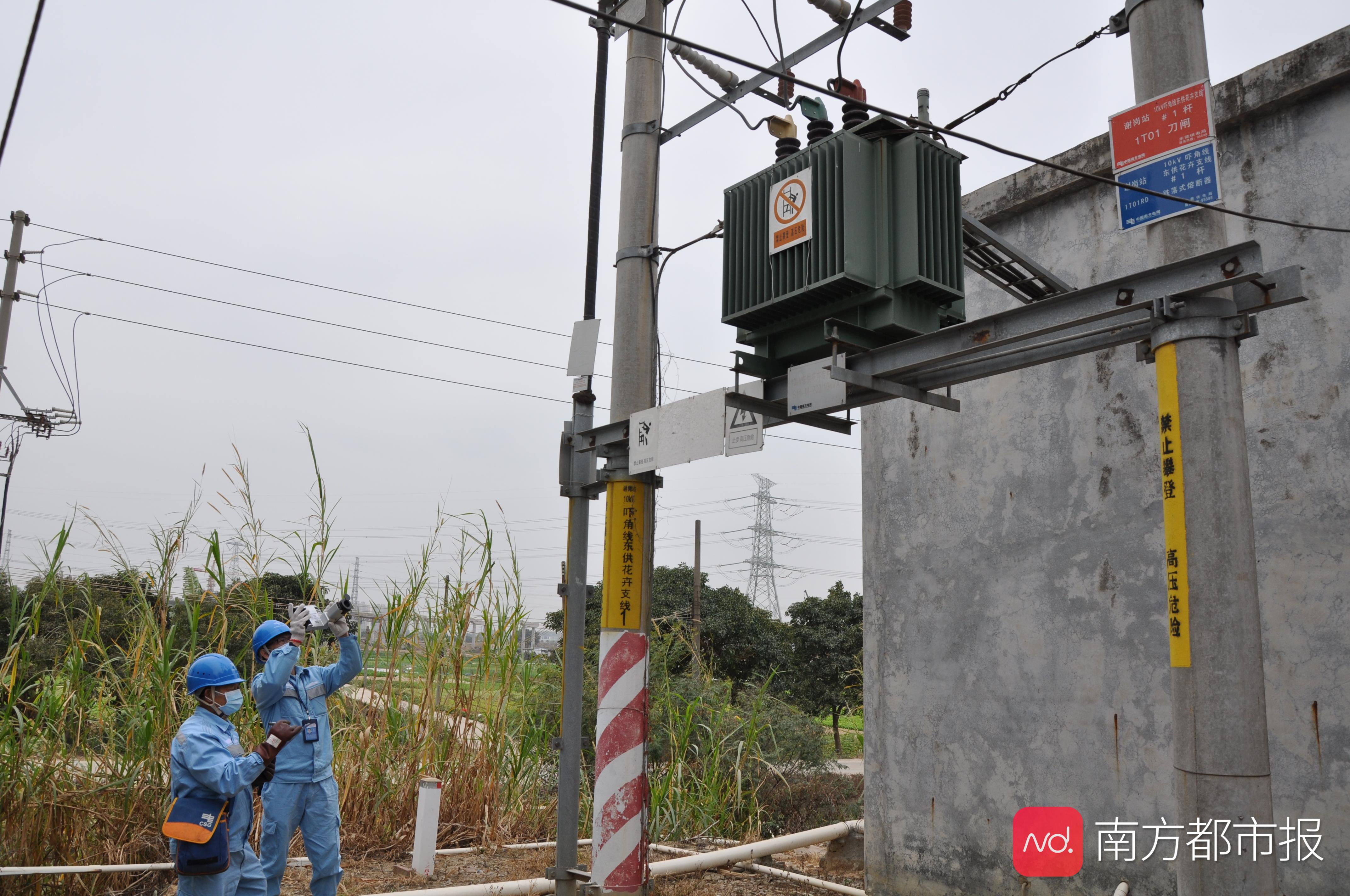 2,2021年1月7日,东莞东区供电局工作人员到位于东莞谢岗镇的花卉企业