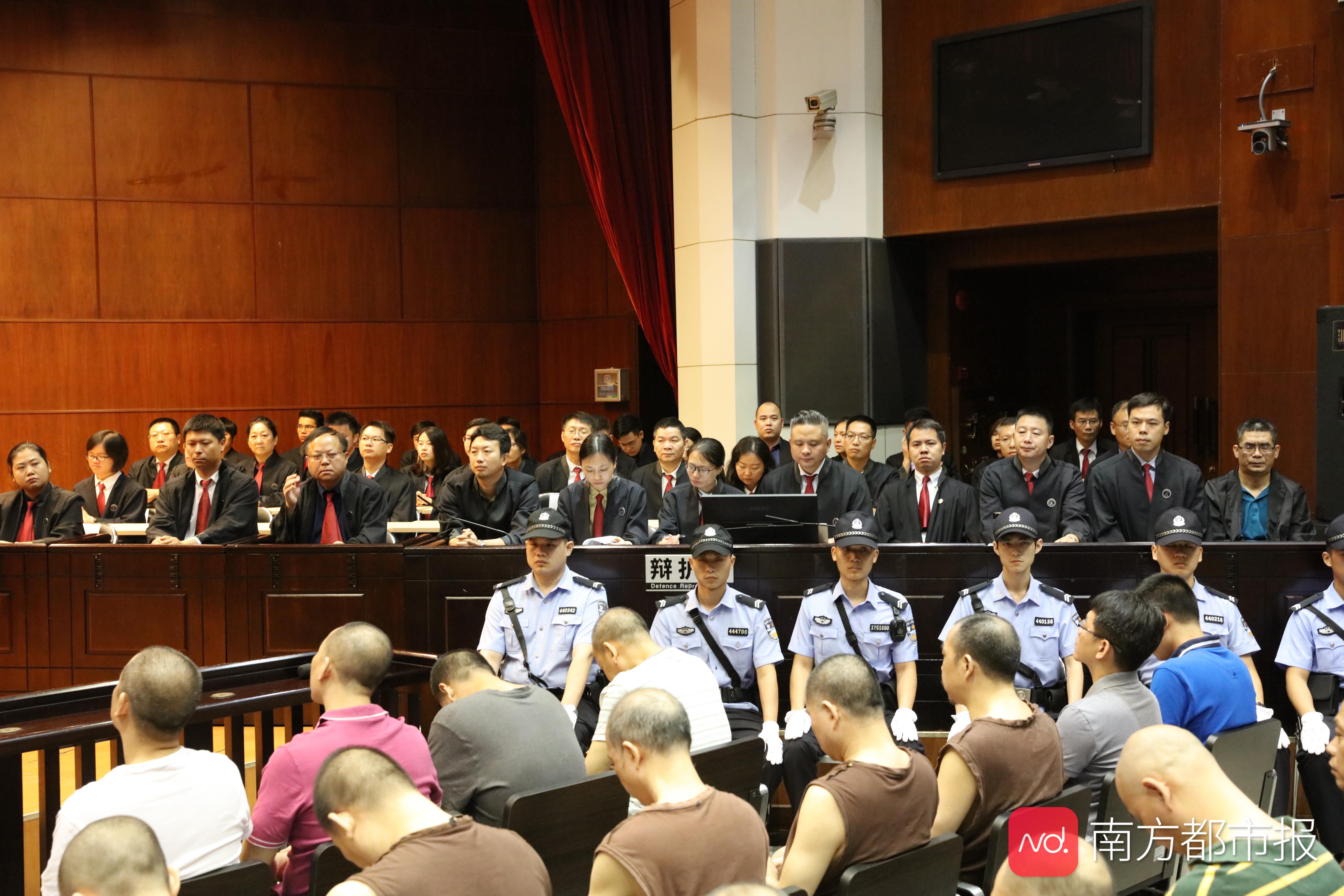 依法审结了全国扫黑办督办的深圳陈永森,佛山谢培忠,茂名曾仕权等重点