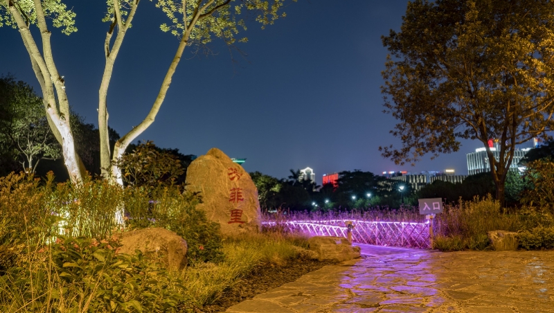 打造元美公园景观亮点 (1).jpg