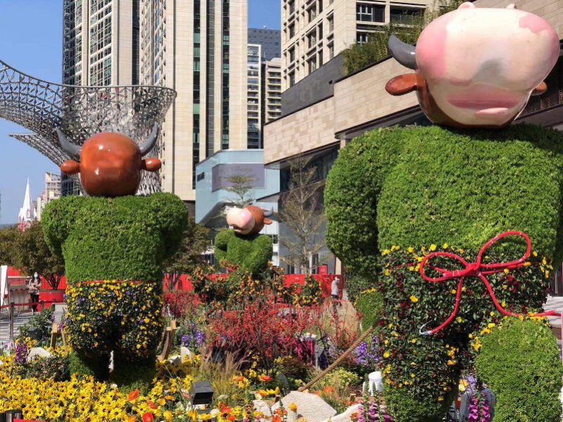 深圳迎春购花点统一布置买花需遵守防疫要求