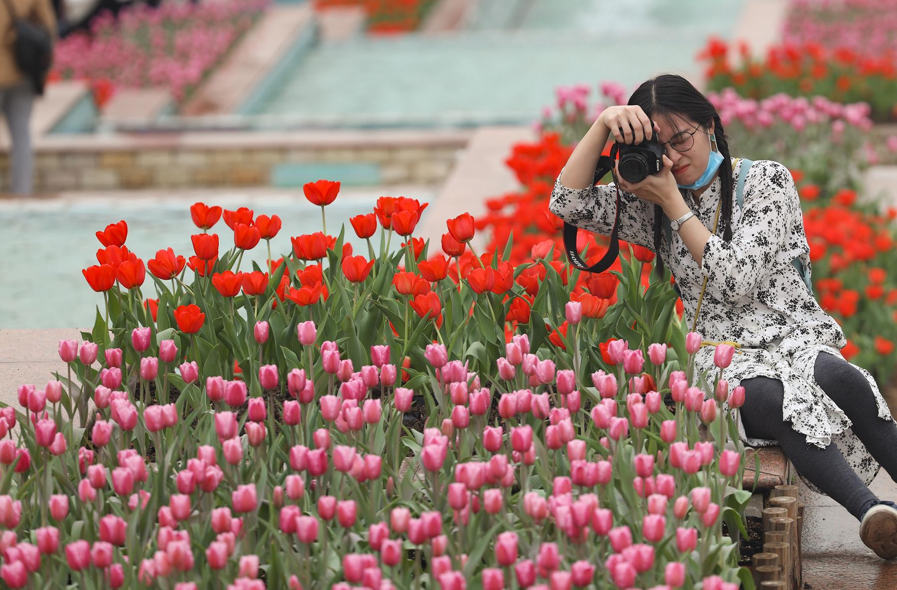 广州各大公园景区最新赏花攻略请收好