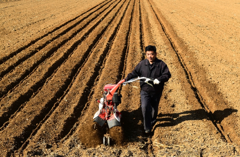 春回大地耕种忙