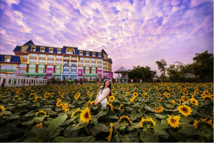 云台花园内的主要景点有:飞瀑流彩,玻璃温室,岩石园,玫瑰园,滟湖,花钟