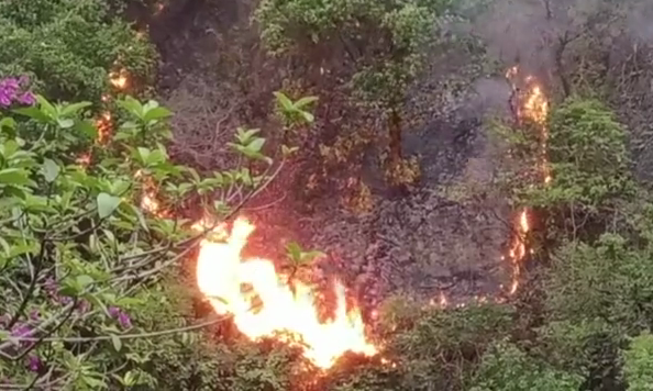 惠州红花湖山火4日2时已被全部扑灭!无人员伤亡