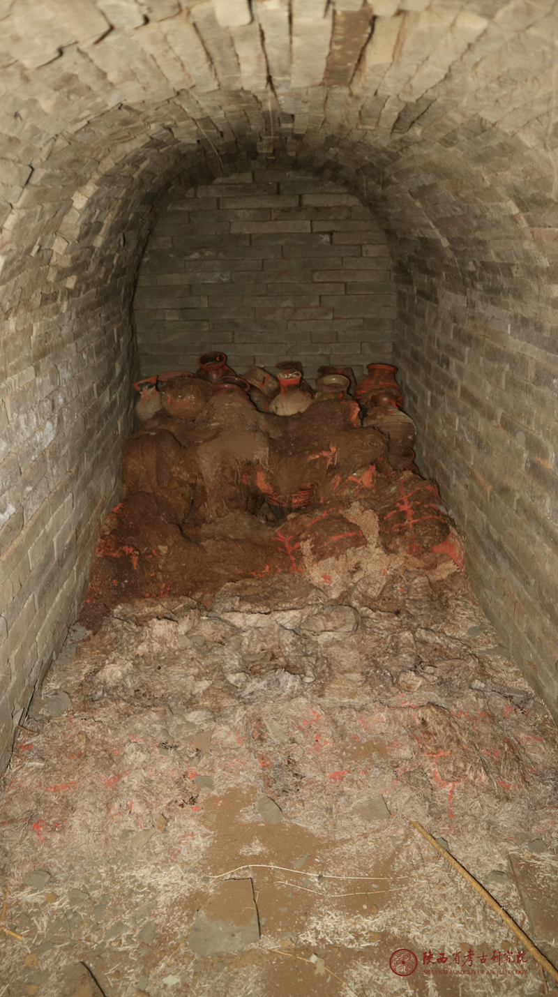 西安一汉代墓葬考古发现粮食口袋!装有黍粟麻,距今两千多年